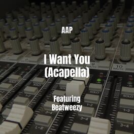 Album cover of I Want You (Acapella)