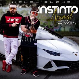 Album cover of Instinto Animal (Remix)