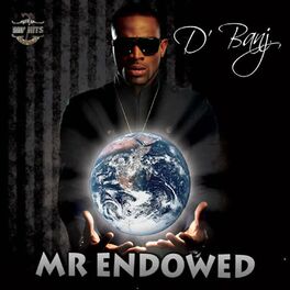 Album cover of Mr Endowed