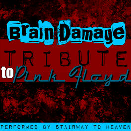 Album cover of Brain Damage: Tribute to Pink Floyd