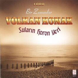 Album cover of Suların Horon Yeri