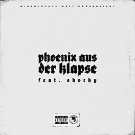 Album cover of Phoenix aus der Klapse