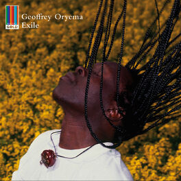 Album cover of Exile (Real World Gold)