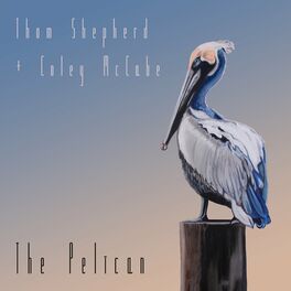 Album cover of The Pelican