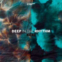 Album cover of Deep in the Rhythm, Vol. 42
