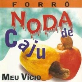 Album cover of Meu Vício