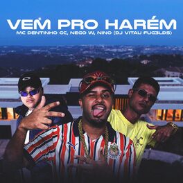 Album cover of Vem Pro Harém