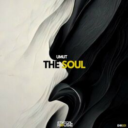 Album cover of The Soul