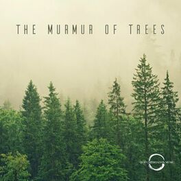 Album cover of The Murmur of Trees
