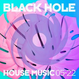 Album cover of Black Hole House Music 05-22