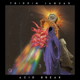 Album cover of Acid Break