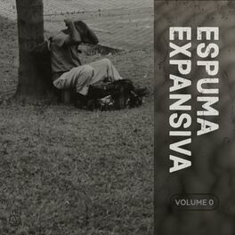 Album cover of Espuma Expansiva Volume 0