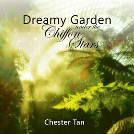 Album cover of Dreamy Garden Under The Chiffon Stars