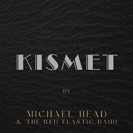 Michael Head & The Red Elastic Band: albums, songs, playlists