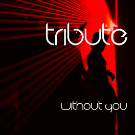 Album cover of Without You (David Guetta feat. Usher Cover) - Single