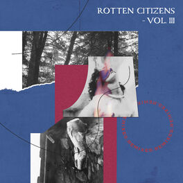 Album cover of Rotten Citizens Vol.3 Remixes