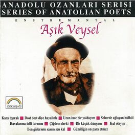 Album cover of Anadolu Ozanları Serisi (Aşık Veysel)