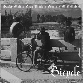 Album cover of Bicycle