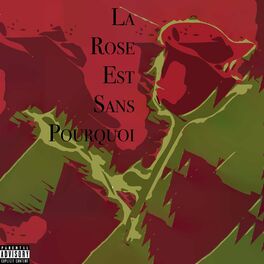 Album cover of La Rose Est Sans Pourquoi