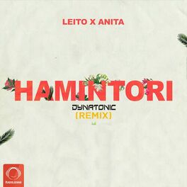Album cover of Hamintori (Dynatonic Remix)