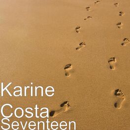 Album cover of Seventeen