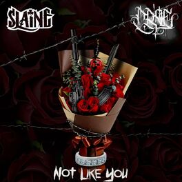 Album cover of Not Like You