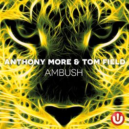 Album cover of Ambush