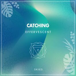 Album cover of Catching Effervescent Skies