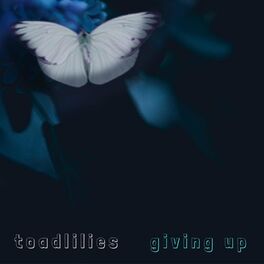 Album cover of giving up