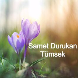Album cover of Tümsek