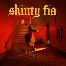 Album cover of Skinty Fia