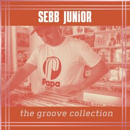 Album cover of The Groove Collection