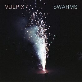 Album cover of SWARMS
