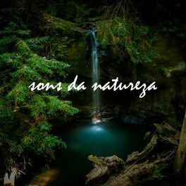 Album picture of Sons da Natureza