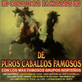 Album cover of 20 Corridos Famosos De Puros Caballos Famosos