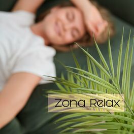 Album cover of Zona Relax