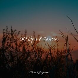 Album cover of 50 Spa Mantra