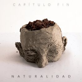 Album cover of Naturalidad
