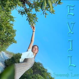 Album cover of Evil