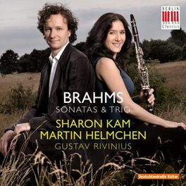 Album cover of Brahms: Sonatas & Trios