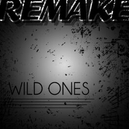 Album cover of Wild Ones (Flo Rida feat. Sia Remake) - Single