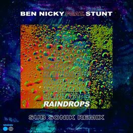 Album cover of Raindrops (Sub Sonik Remix)