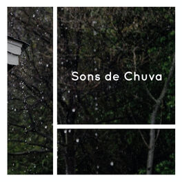 Album cover of Sons de Chuva