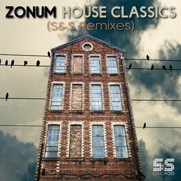 Album cover of Zonum Classics (S&S Remixes)