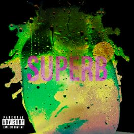 Album cover of SUPERB