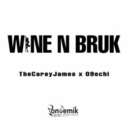 Album cover of Wine N Bruk