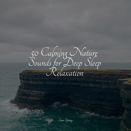 Album cover of 50 Calming Nature Sounds for Deep Sleep Relaxation