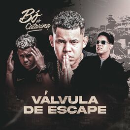 Album cover of Válvula de Escape