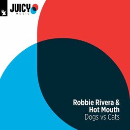 Album cover of Dog vs Cats