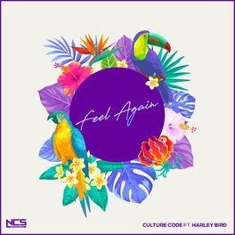 Album cover of Feel Again feat. Harley Bird